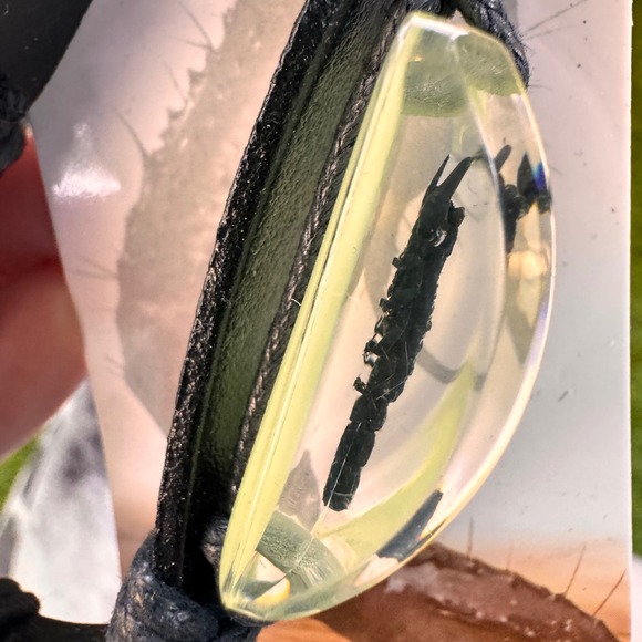 New Scorpion Resin Bracelet Leather Cord Black Insect Jewelry Y2K Gift - Picture 2 of 6